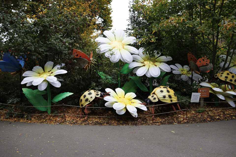 Woodland Park Zoo — photo 45